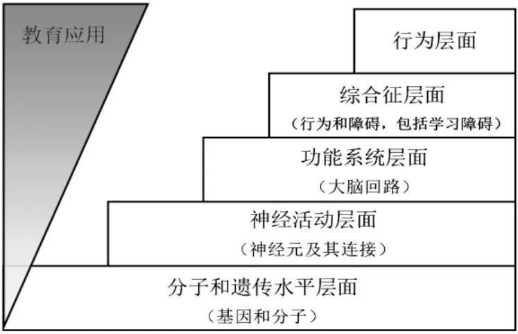 心理学 重点知识