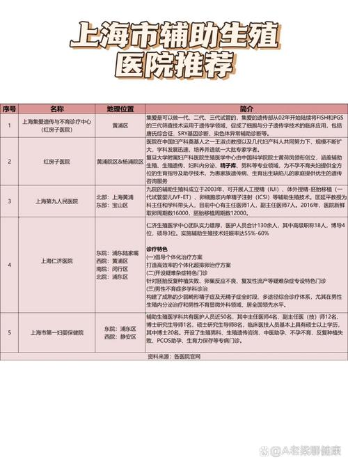 上海网站排名公司