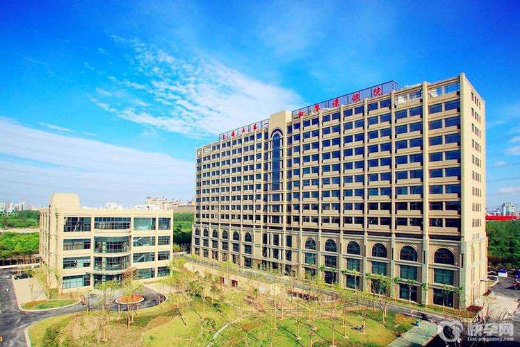 上海网站排名公司