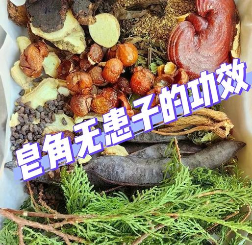 皂角种子的种植方法