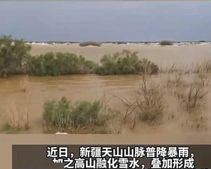 干旱成因危害措施