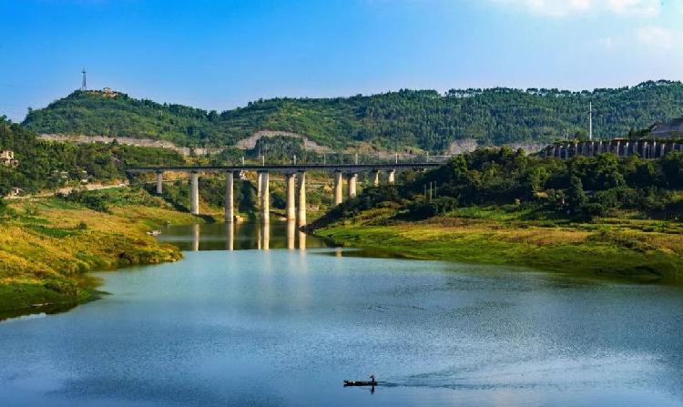 大五星枇杷种植技术