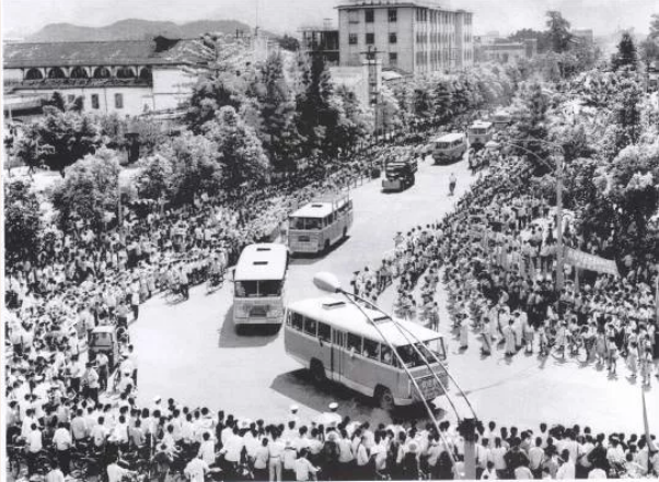 反映知识青年上山下乡的电视剧