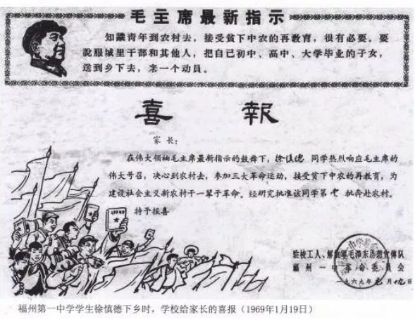 反映知识青年上山下乡的电视剧