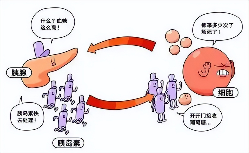 糖尿病知识问答