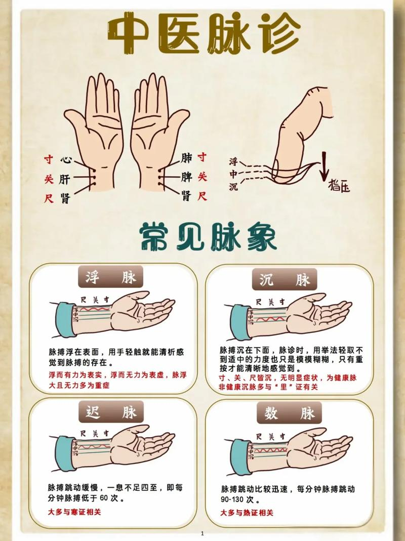 中医把脉原理