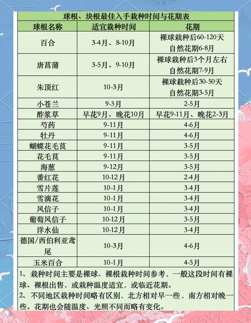 桂花苗种植技术