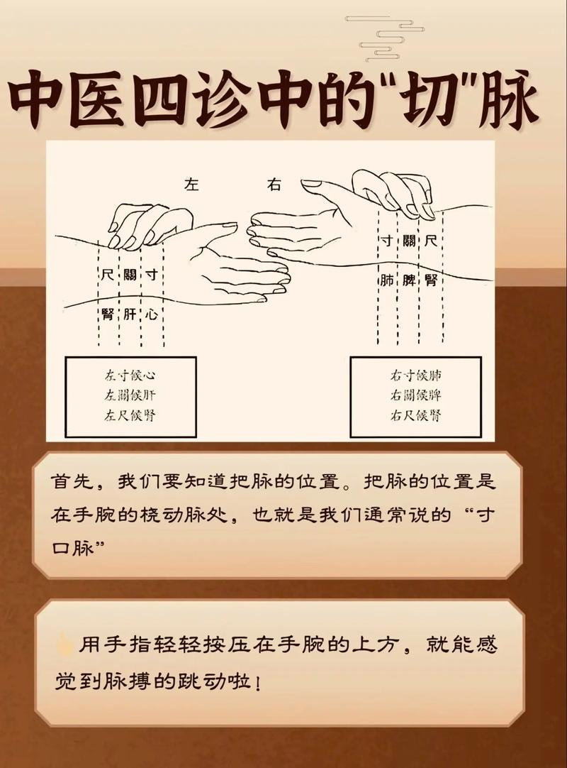 中医把脉原理