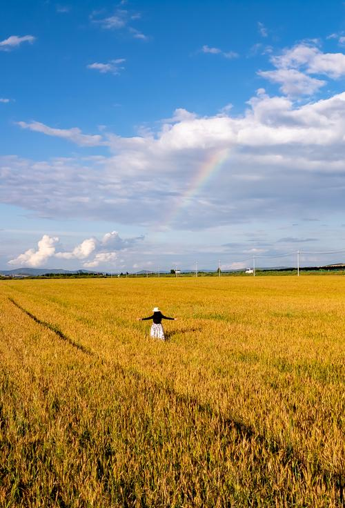 东北玉米种植技术