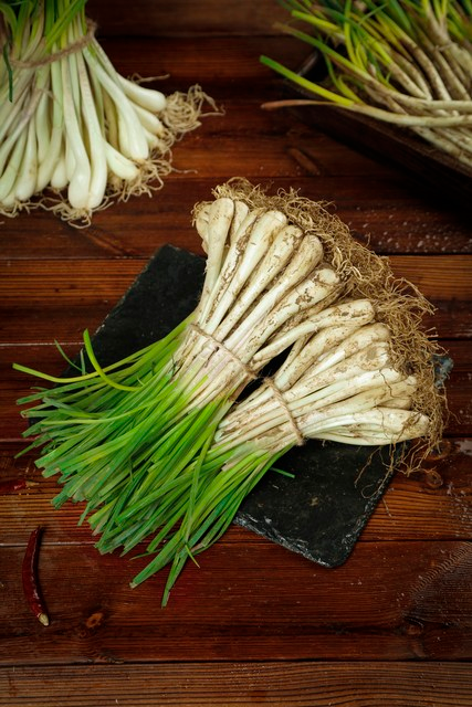 芳香万寿菊种植方法