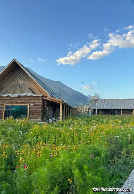 北疆旅游需多少钱