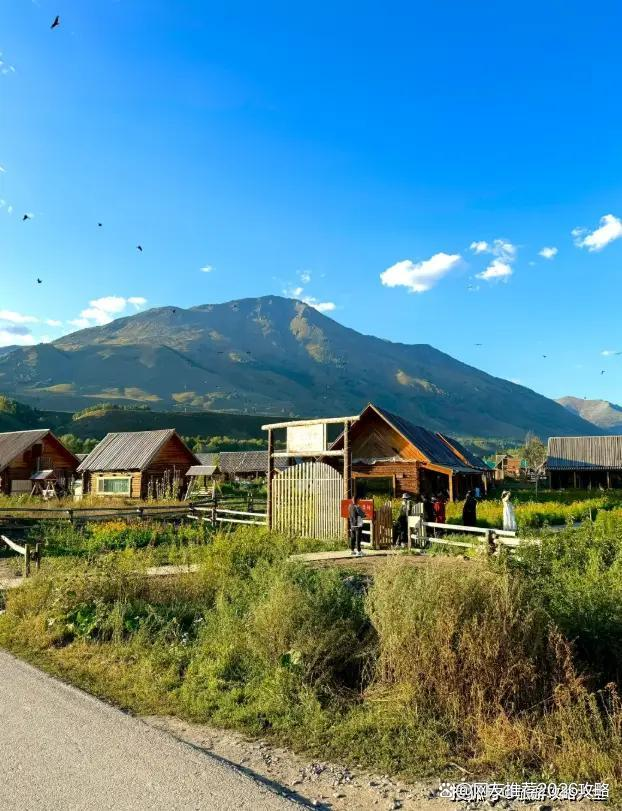 北疆旅游需多少钱