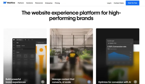 长沙seo建站排名服务
