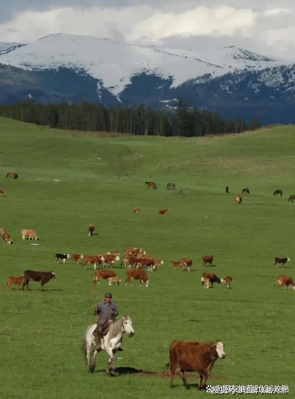 北疆旅游需多少钱