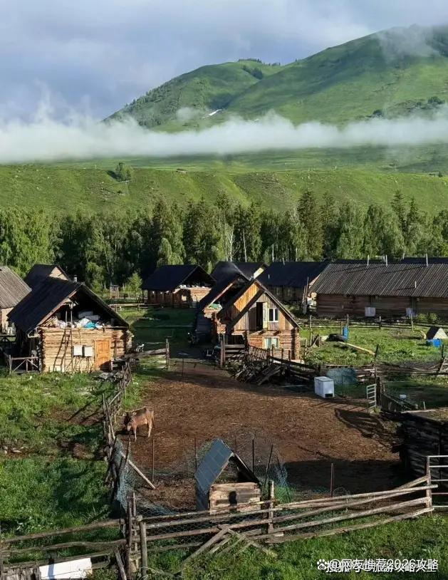 北疆旅游需多少钱