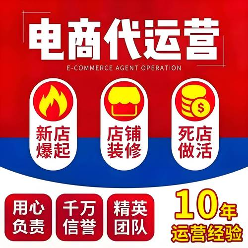 网站运营直通车:7天精通seo