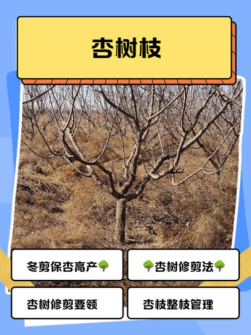 银杏树的种植方法