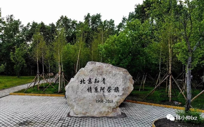 知识青年上山下乡运动纪实