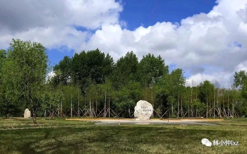 知识青年上山下乡运动纪实