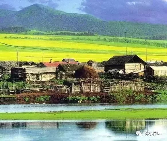 知识青年上山下乡运动纪实