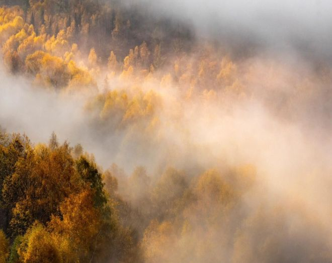 北疆旅游需多少钱