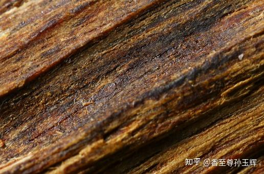 沉香树苗种植方法