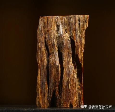 沉香树苗种植方法