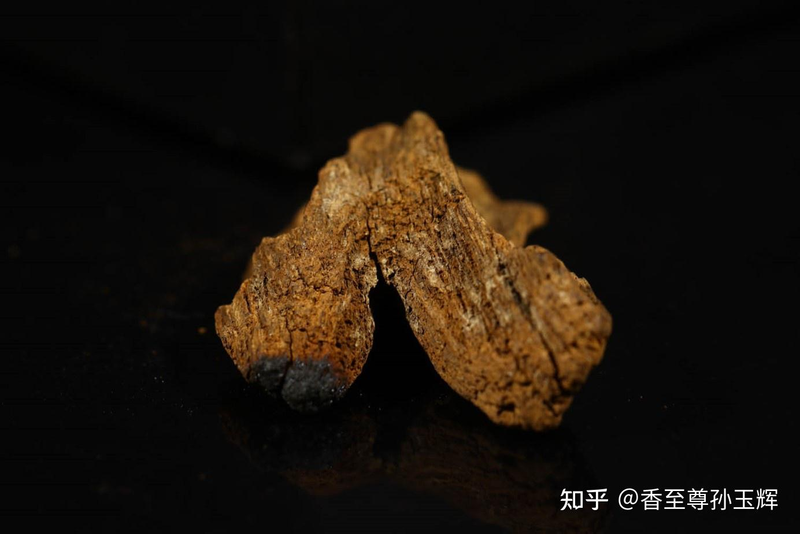 沉香树苗种植方法