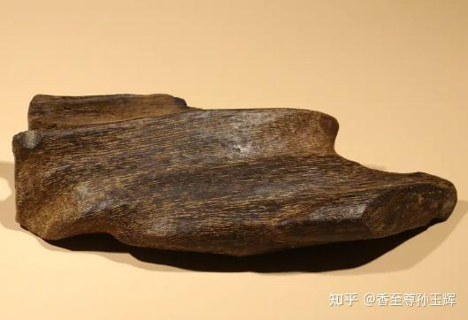 沉香树苗种植方法