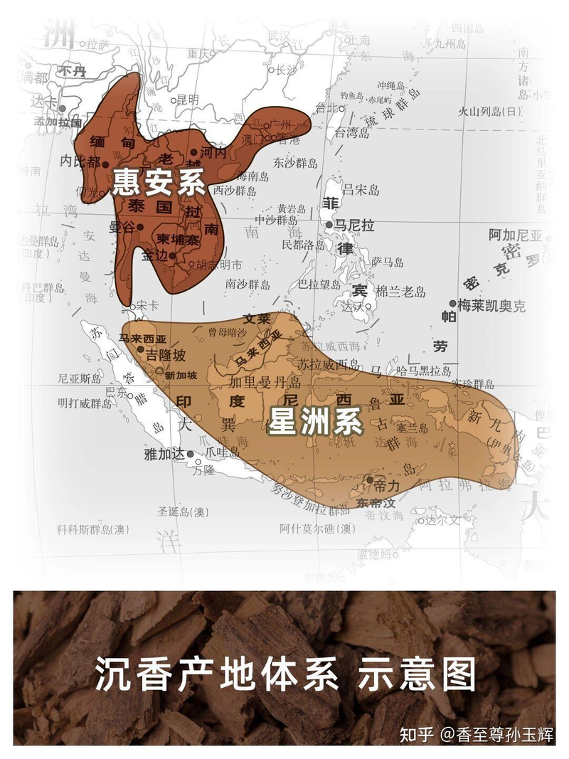 沉香树苗种植方法