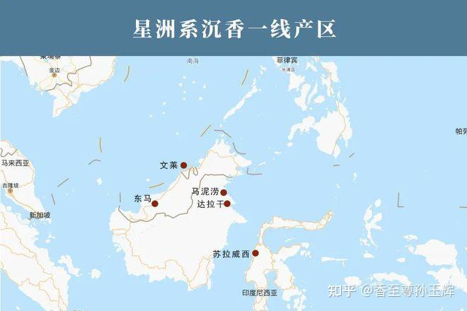 沉香树苗种植方法