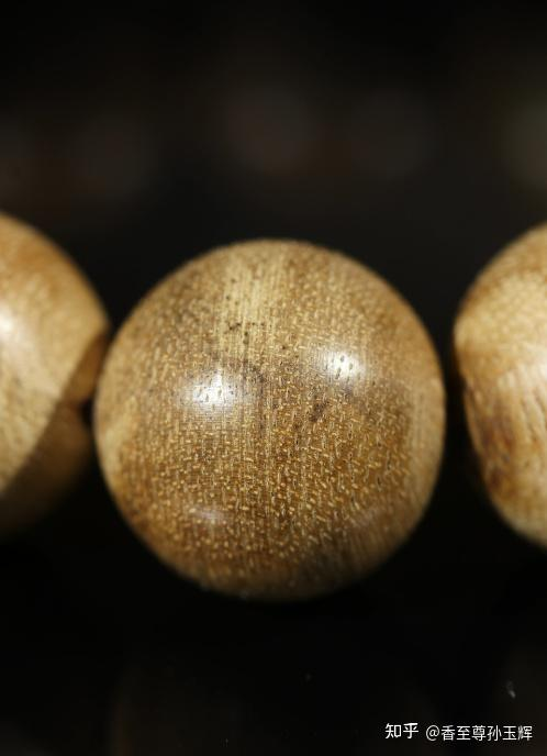 沉香树苗种植方法