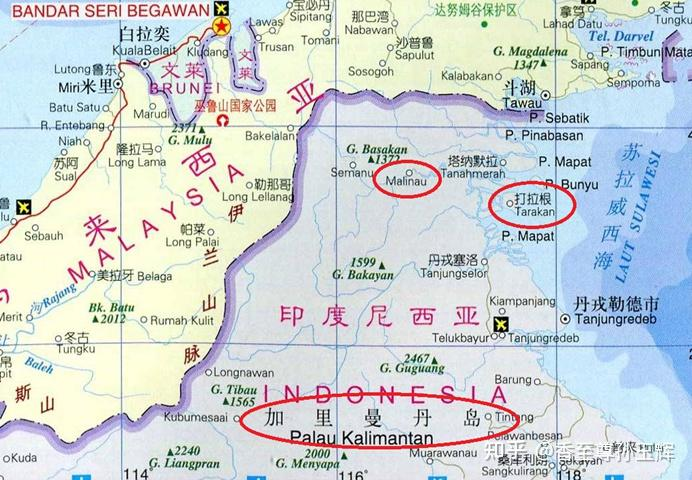 沉香树苗种植方法