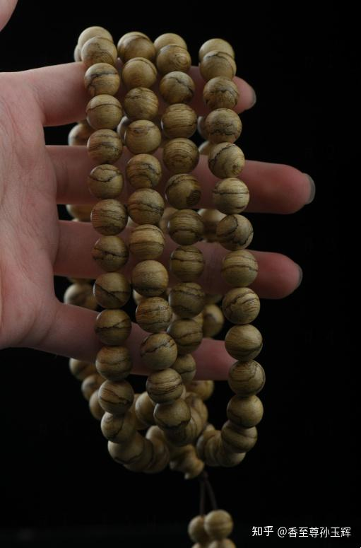 沉香树苗种植方法