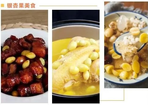 银杏树的种植方法