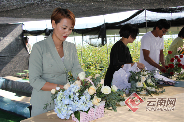芳香万寿菊种植方法