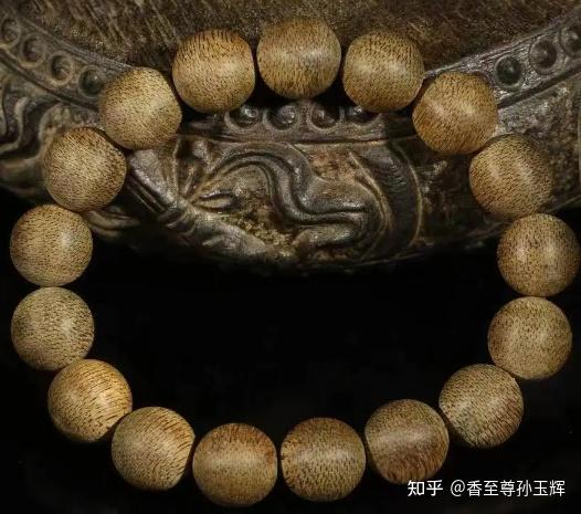 沉香树苗种植方法