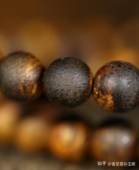 沉香树苗种植方法