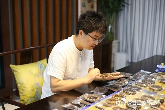 沉香树苗种植方法