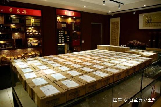 沉香树苗种植方法