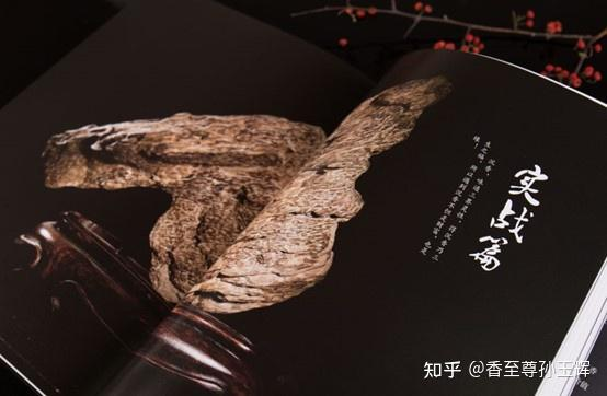 沉香树苗种植方法