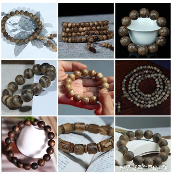 沉香树苗种植方法