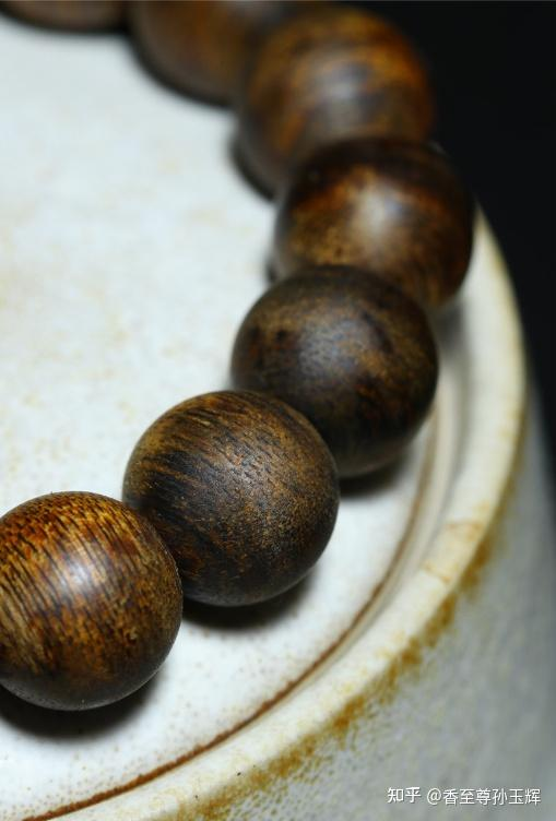 沉香树苗种植方法