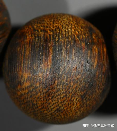 沉香树苗种植方法