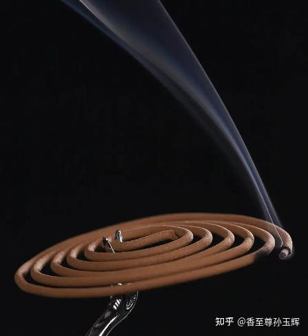 沉香树苗种植方法