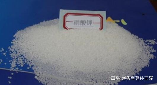 沉香树苗种植方法