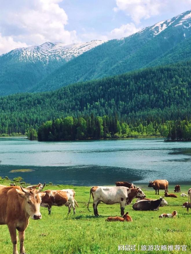 北疆旅游需多少钱