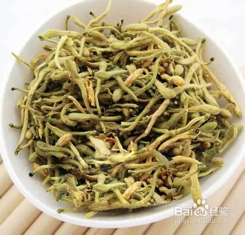 金银花种子种植方法