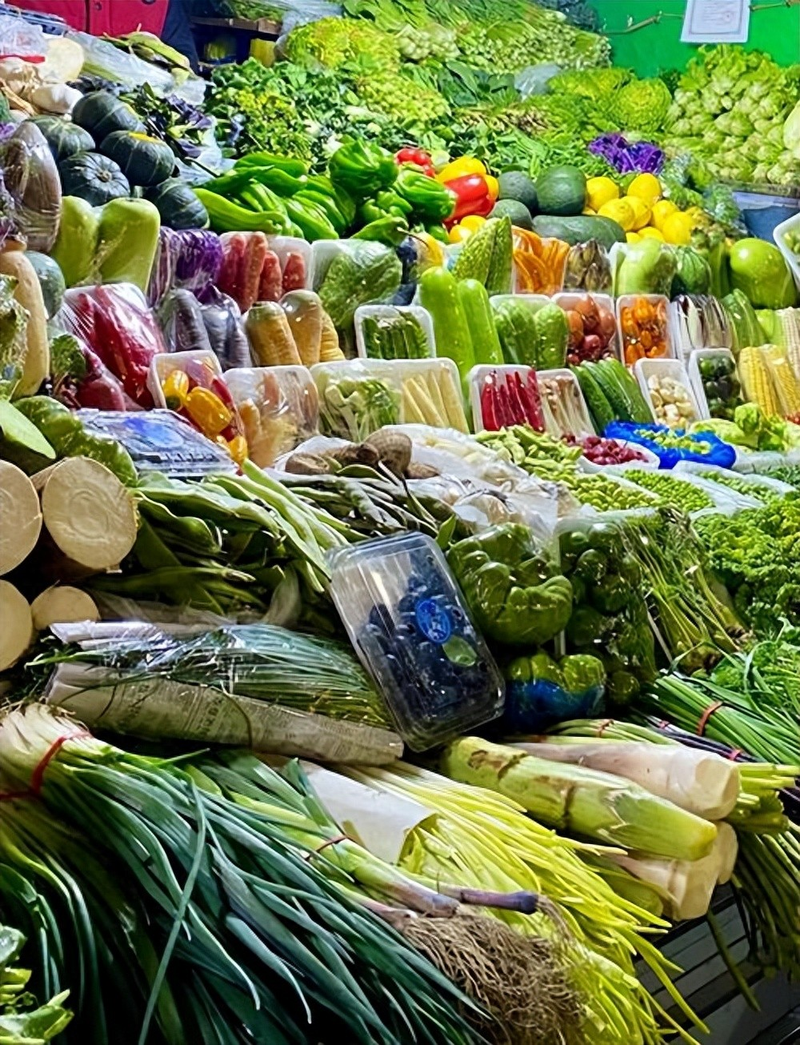大棚苦瓜种植技术