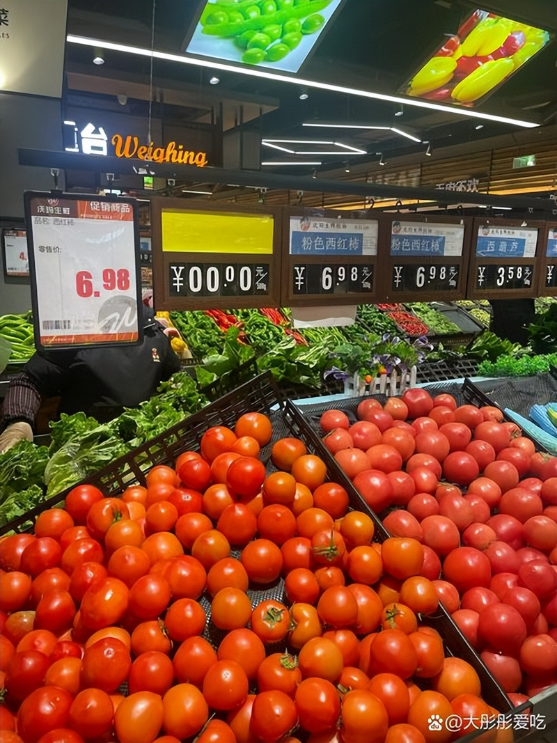 大棚苦瓜种植技术